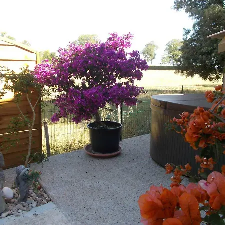 Bed & Breakfast D'hotes Dans Chalet De Bien-etre Pern